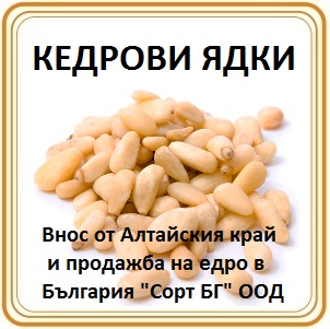 sort, bg, csort, �������, ����, ����, ��, ����