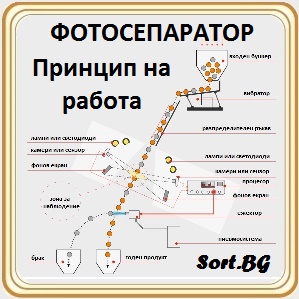 OPTIMA NEW, ОПТИМА, Фотосепаратор, CSort, SortBG, ЦортБГ ООД, фото, foto