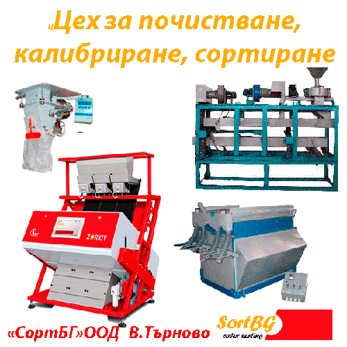 csort, sort, bg, sortbg, ����, ���������, ����������, ������, ���������