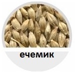 ечемик, сортиране, фото, сортираща, машина