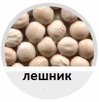 лешник, сортиране, фото, сепаратор