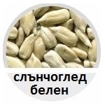 слънчоглед, белен, сортиране, фото, сепаратор