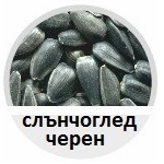 СЛЪНЧОГЛЕД, ЯДКИ, Семки, кафе, орехи, Слънчоглед, бял, черен, чер, ЯДКИ, КАФЕ, сортиране, почистване, калибриране, Sort BG, ФОТОСЕПАРАТОРИ, csort, Bulgaria, България