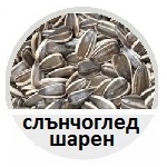слънчоглед, шарен, сортиране, фото, сепаратор