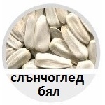 слънчоглед, бял, сортиране, фото, сепаратор