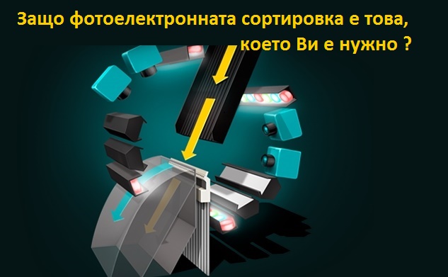 csort, sort, bg, sortbg, фото, сортираща, електронна, машина, сепаратор