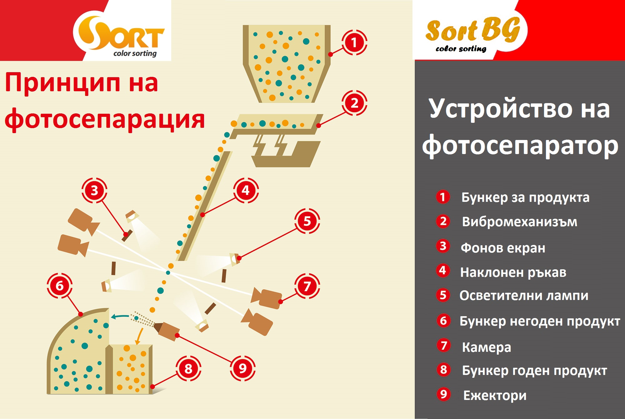 csort, sort, bg, sortbg, фото, сортираща, електронна, машина, сепаратор
