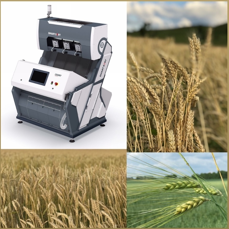 csort, sort, bg, sortbg, фото, сортираща, електронна, машина, сепаратор
