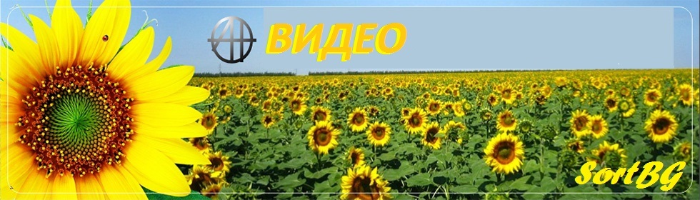 СортБГ, форум, агро, пром, фото, елеватор, сепаратор, калибратор, forum, agro, prom, белене, лющене, сортиращи, почистващи, калибриращи, машини, сортиране, калибриране, почистване, насипни, селскостопански, продукти, пшеница, слънчоглед, белен, вибро, пневмо, маса, първично, почистване, калибровъчен, вибросепаратор, лющене, семена, за посев, кофичков, елеватор, транспортьор, циклон, шлифовъчно, полираща, машина, адрес, контакт, България