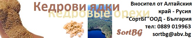 sort, bg, кедрови, ядки, българия, фото, сепаратор