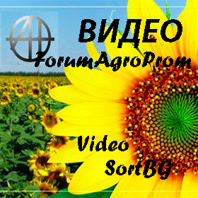 ВИДЕО, VIDEO, ФОТО, FOTO, СортБГ ООД, SortBG Ltrd., сортираща, почистваща, калибрираща, техника, оборудване, кантари, дозатори, фотосепаратори, новини, видео, контакти