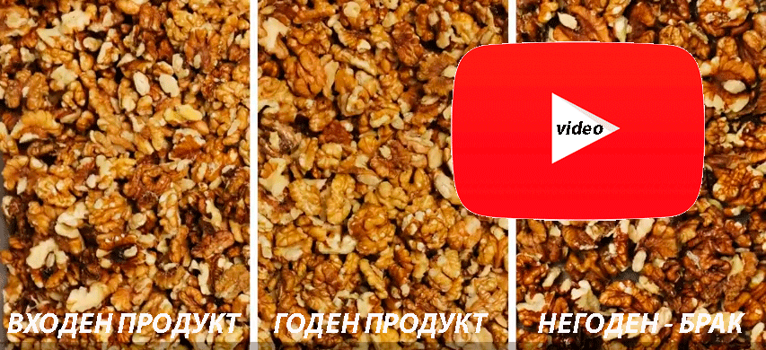 csort, sort, bg, sortbg, фото, сортираща, електронна, машина, сепаратор