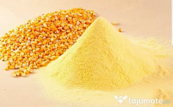 СортБГ ООД, SortBG Ltd., внос, сервиз, фото, сепаратори, калибратори, сортиращи, почистващи, дозиращи, кантари, теглови, дозатори, сепаратори, силози, сушилни, линии, комплекси