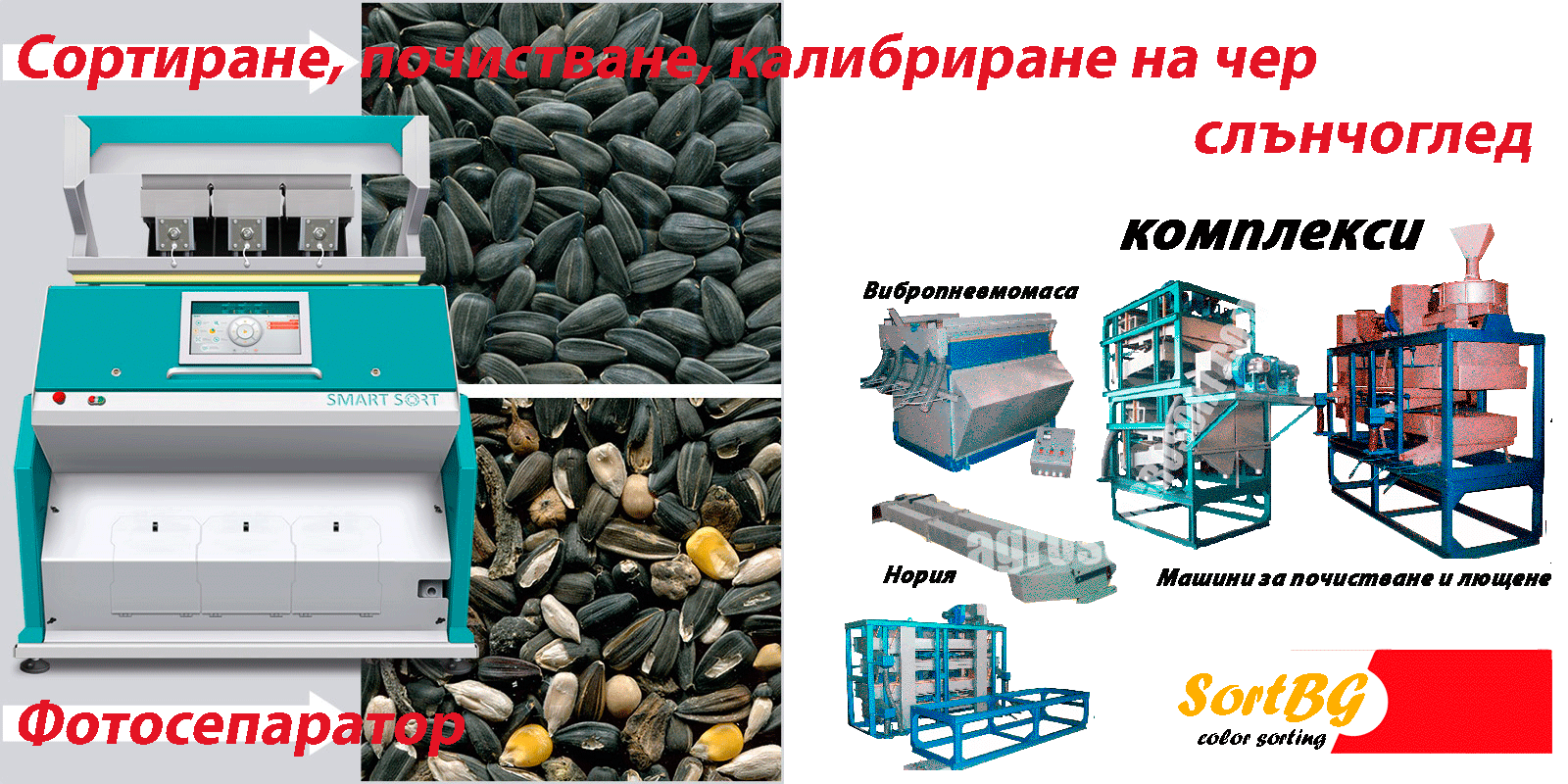 Слънчоглед, бял, черен, чер, ЯДКИ, КАФЕ, сортиране, почистване, калибриране, Sort BG, ФОТОСЕПАРАТОРИ, csort, Bulgaria, България